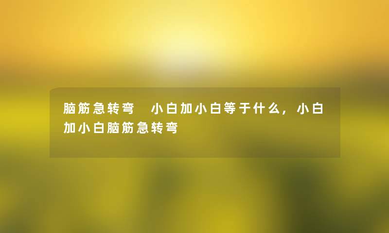 脑筋急转弯 小白加小白等于什么,小白加小白脑筋急转弯