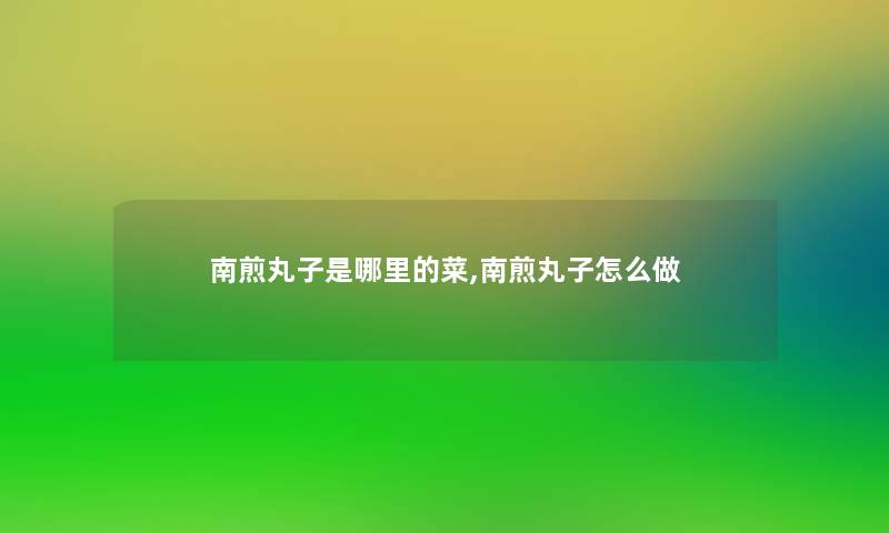 南煎丸子是哪里的菜,南煎丸子怎么做 南煎丸子是哪里的菜,南煎丸子怎么做