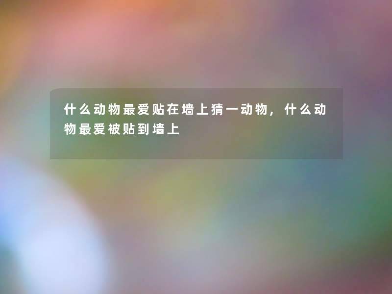 什么动物爱贴在墙上猜一动物,什么动物爱被贴到墙上 什么动物爱贴在墙上猜一动物,什么动物爱被贴到墙上