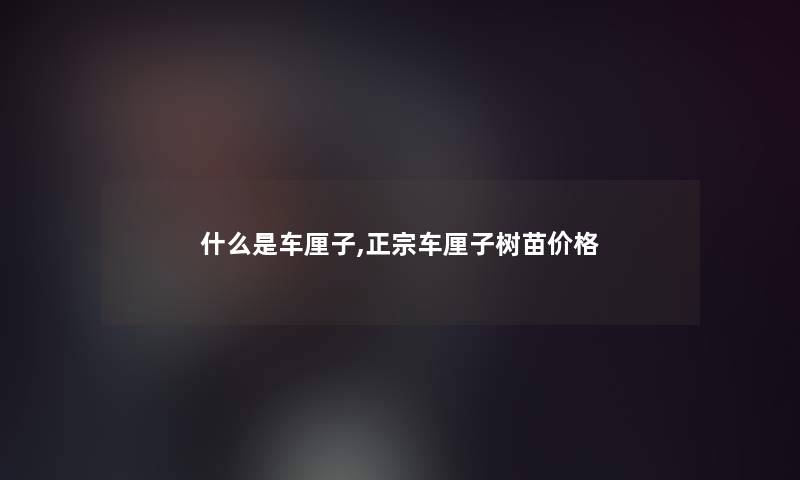 什么是车厘子,正宗车厘子树苗价格 什么是车厘子,正宗车厘子树苗价格