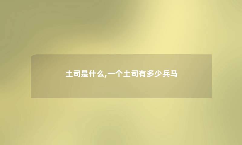 土司是什么,一个土司有多少兵马