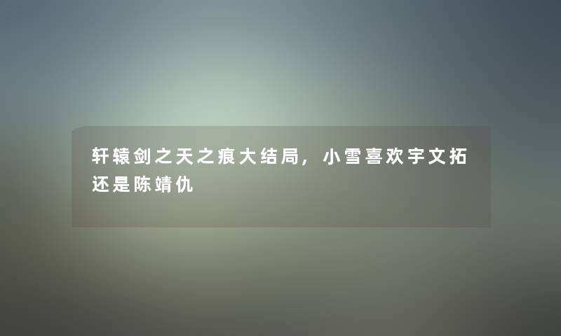 轩辕剑之天之痕大结局,小雪喜欢宇文拓还是陈靖仇 轩辕剑之天之痕大结局,小雪喜欢宇文拓还是陈靖仇