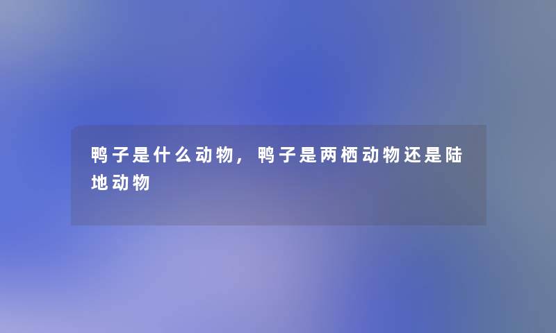 鸭子是什么动物,鸭子是两栖动物还是陆地动物 鸭子是什么动物,鸭子是两栖动物还是陆地动物
