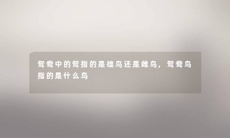 鸳鸯中的鸳指的是雄鸟还是雌鸟,鸳鸯鸟指的是什么鸟 鸳鸯中的鸳指的是雄鸟还是雌鸟,鸳鸯鸟指的是什么鸟