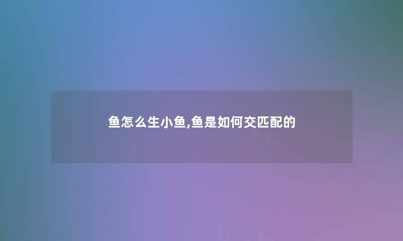 鱼怎么生小鱼,鱼是如何交匹配的 鱼怎么生小鱼,鱼是如何交匹配的