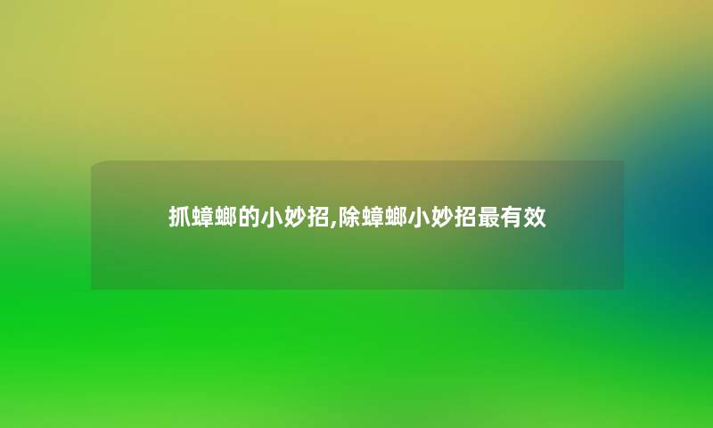 抓蟑螂的小妙招,除蟑螂小妙招有效 抓蟑螂的小妙招,除蟑螂小妙招有效