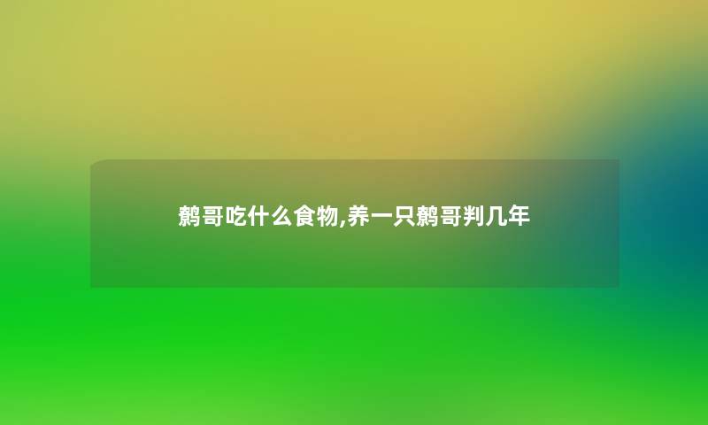 鹩哥吃什么食物,养一只鹩哥判几年 鹩哥吃什么食物,养一只鹩哥判几年