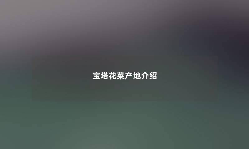 宝塔花菜产地介绍 宝塔花菜产地介绍