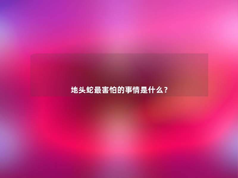 地头蛇害怕的事情是什么? 地头蛇害怕的事情是什么?