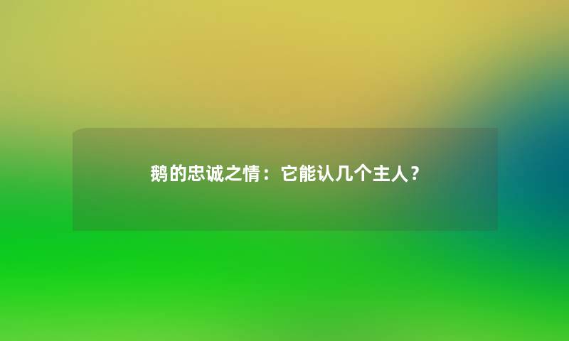 鹅的忠诚之情:它能认几个主人? 鹅的忠诚之情:它能认几个主人?