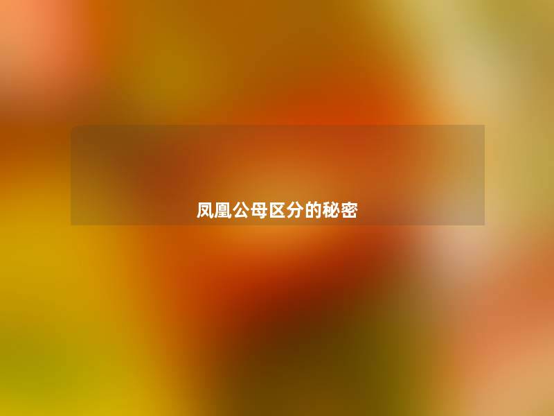 凤凰公母区分的秘密 凤凰公母区分的秘密