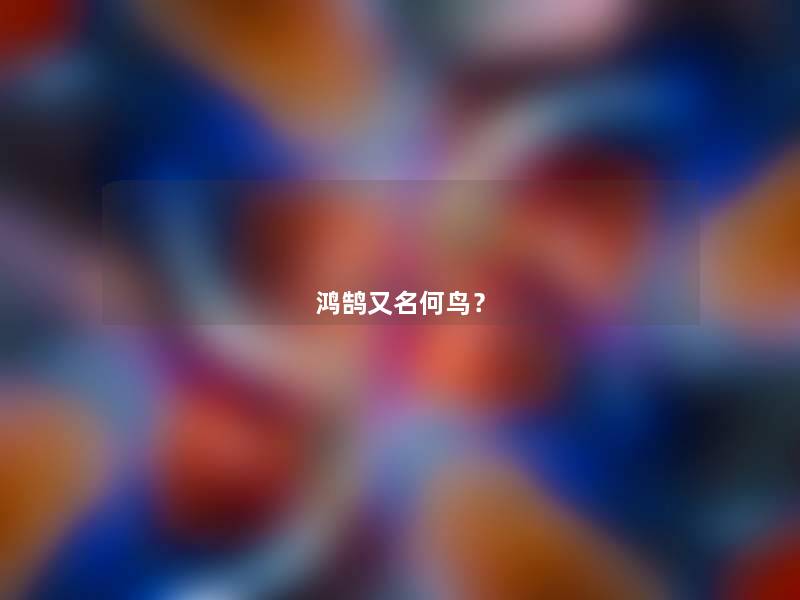 鸿鹄又名何鸟? 鸿鹄又名何鸟?
