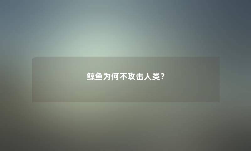 鲸鱼为何不攻击？