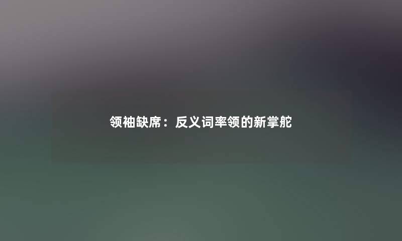 领袖缺席：反义词率领的新掌舵