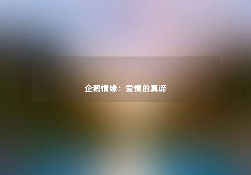 企鹅情缘:爱情的真谛 企鹅情缘:爱情的真谛