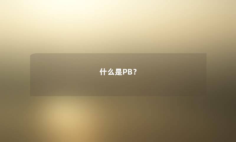什么是PB? 什么是PB?