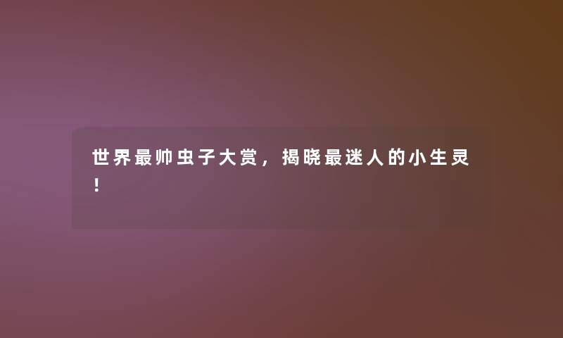 世界帅虫子大赏,揭晓迷人的小生灵! 世界帅虫子大赏,揭晓迷人的小生灵!