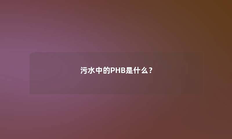 污水中的PHB是什么? 污水中的PHB是什么?