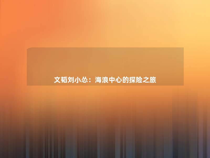 文韬刘小怂:海浪中心的探险之旅 文韬刘小怂:海浪中心的探险之旅