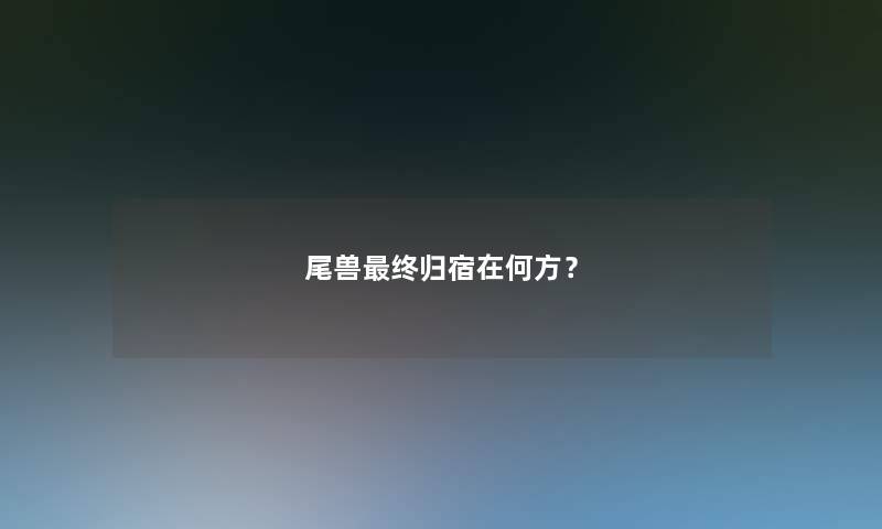 尾兽终归宿在何方? 尾兽终归宿在何方?