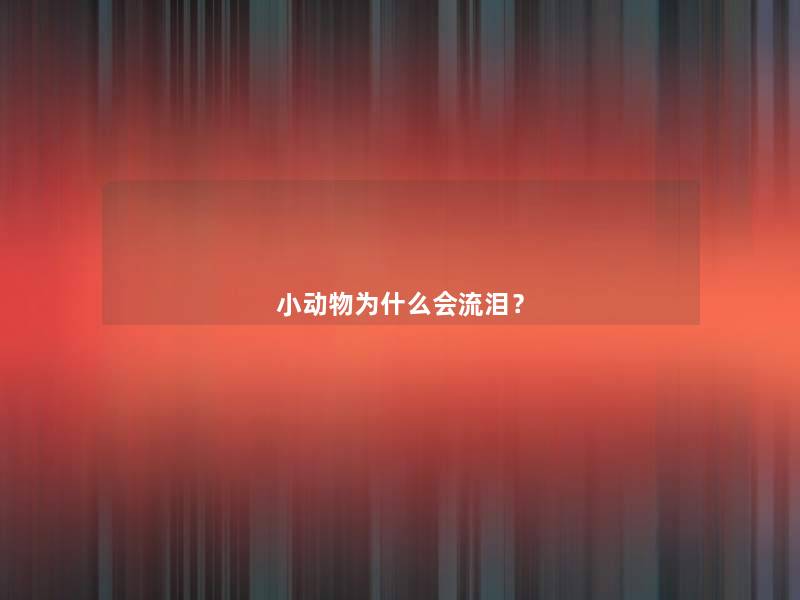 小动物为什么会流泪? 小动物为什么会流泪?