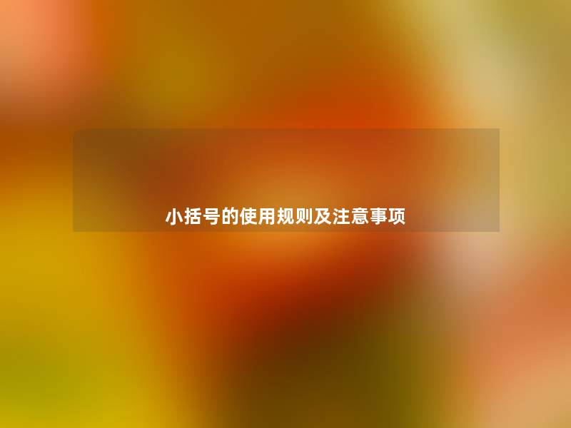 小括号的使用规则及事项