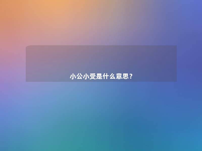 小公小受是什么意思？
