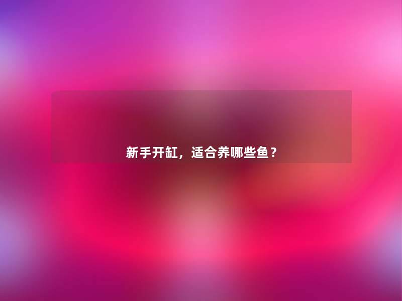 新手开缸，适合养哪些鱼？