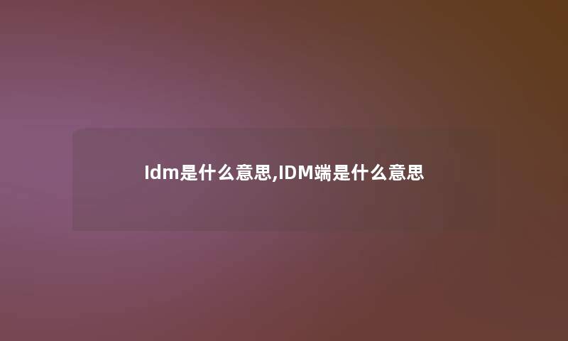 Idm是什么意思,IDM端是什么意思 Idm是什么意思,IDM端是什么意思
