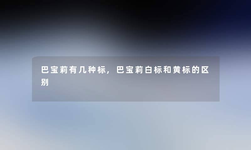 巴宝莉有几种标,巴宝莉白标和黄标的区别 巴宝莉有几种标,巴宝莉白标和黄标的区别