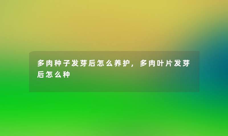 多肉种子发芽后怎么养护,多肉叶片发芽后怎么种 多肉种子发芽后怎么养护,多肉叶片发芽后怎么种