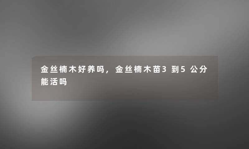 金丝楠木好养吗,金丝楠木苗3到5公分能活吗 金丝楠木好养吗,金丝楠木苗3到5公分能活吗