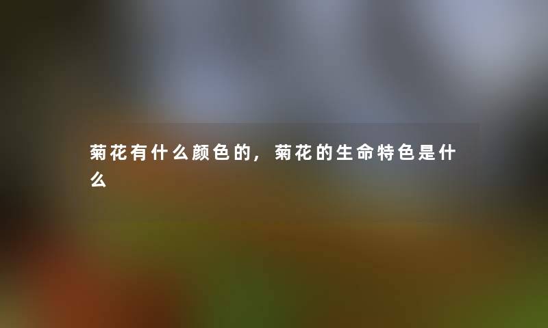 菊花有什么颜色的,菊花的生命特色是什么 菊花有什么颜色的,菊花的生命特色是什么