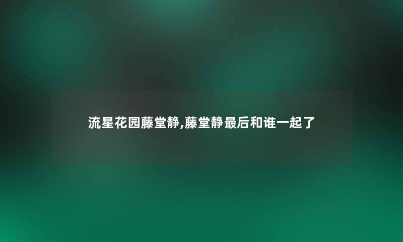 流星花园藤堂静,藤堂静这里要说和谁一起了 流星花园藤堂静,藤堂静这里要说和谁一起了