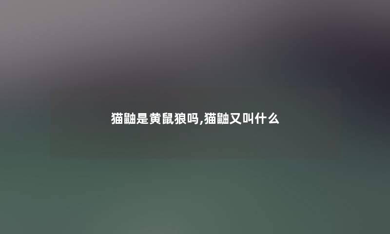 猫鼬是黄鼠狼吗,猫鼬又叫什么 猫鼬是黄鼠狼吗,猫鼬又叫什么