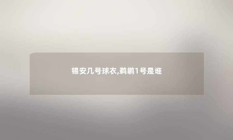 锡安几号球衣,鹈鹕1号是谁 锡安几号球衣,鹈鹕1号是谁