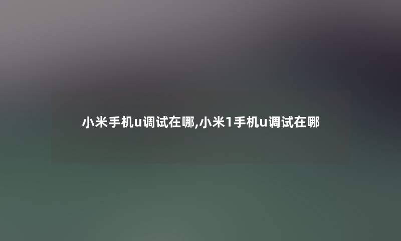 小米手机u调试在哪,小米1手机u调试在哪 小米手机u调试在哪,小米1手机u调试在哪
