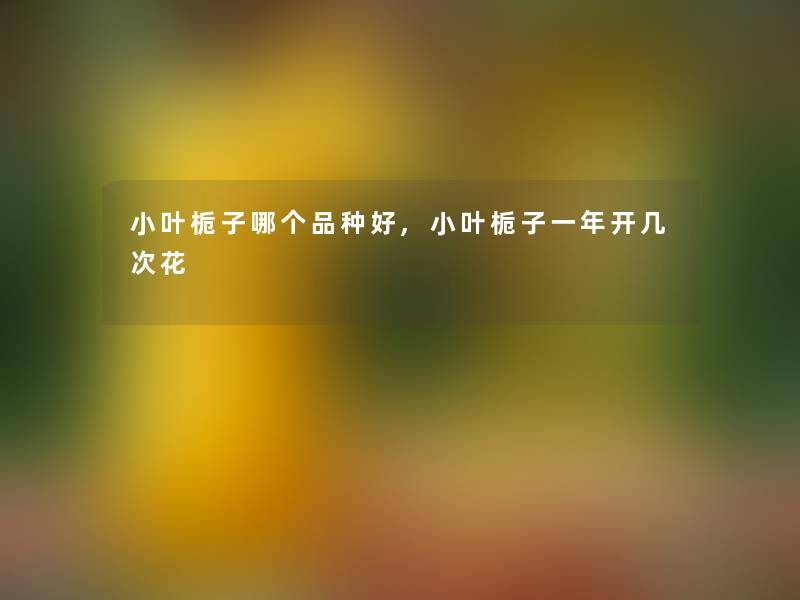 小叶栀子哪个品种好,小叶栀子一年开几次花 小叶栀子哪个品种好,小叶栀子一年开几次花