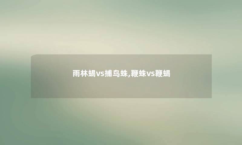 雨林蝎vs捕鸟蛛,鞭蛛vs鞭蝎 雨林蝎vs捕鸟蛛,鞭蛛vs鞭蝎