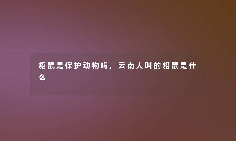 貂鼠是保护动物吗,云南人叫的貂鼠是什么 貂鼠是保护动物吗,云南人叫的貂鼠是什么