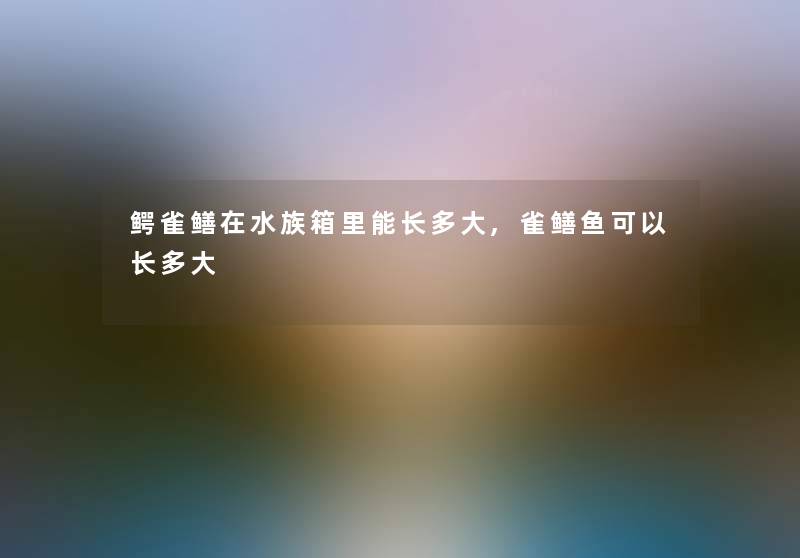 鳄雀鳝在水族箱里能长多大,雀鳝鱼可以长多大 鳄雀鳝在水族箱里能长多大,雀鳝鱼可以长多大